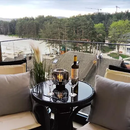 Stefanovic, * ズラティボール